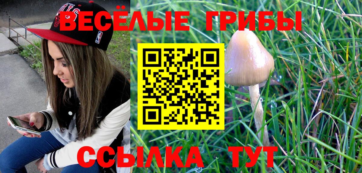 Галлюциногенные грибы Cubensis  где купить наркоту  Галлюциногенные грибы MAGIC MUSHROOMS  Борзя  Вход с VPN 